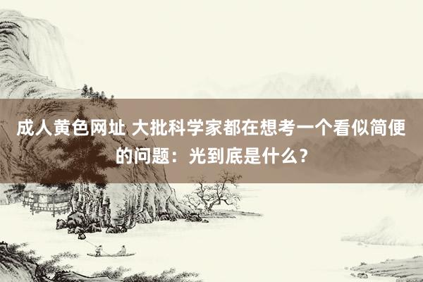 成人黄色网址 大批科学家都在想考一个看似简便的问题：光到底是什么？