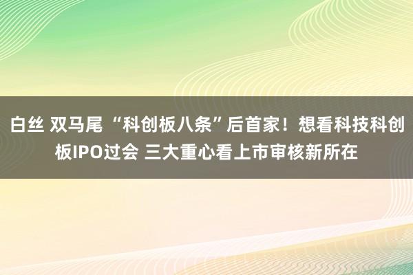 白丝 双马尾 “科创板八条”后首家！想看科技科创板IPO过会 三大重心看上市审核新所在