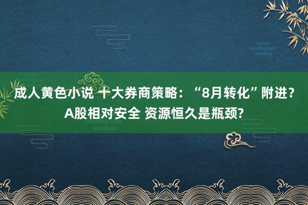 成人黄色小说 十大券商策略：“8月转化”附进？A股相对安全 资源恒久是瓶颈?