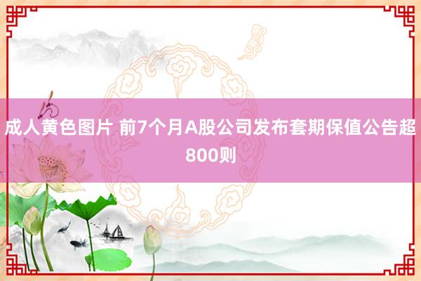 成人黄色图片 前7个月A股公司发布套期保值公告超800则