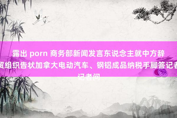 露出 porn 商务部新闻发言东说念主就中方辞世贸组织告状加拿大电动汽车、钢铝成品纳税手脚答记者问