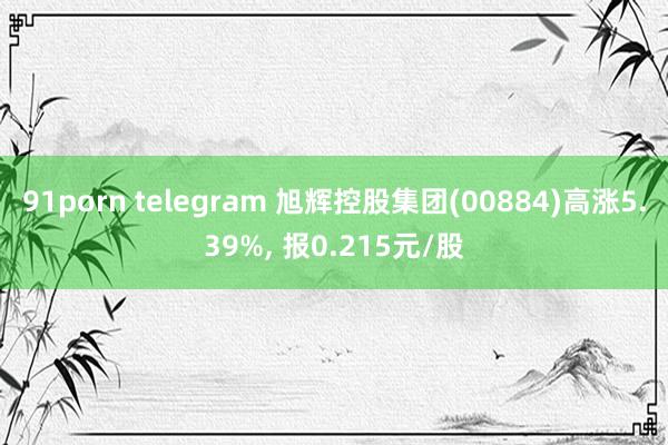 91porn telegram 旭辉控股集团(00884)高涨5.39%， 报0.215元/股