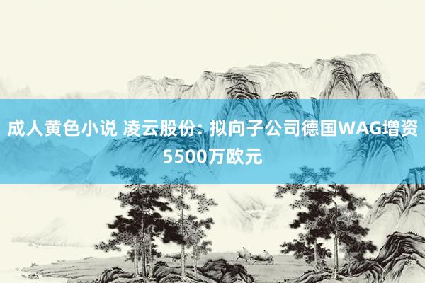 成人黄色小说 凌云股份: 拟向子公司德国WAG增资5500万欧元