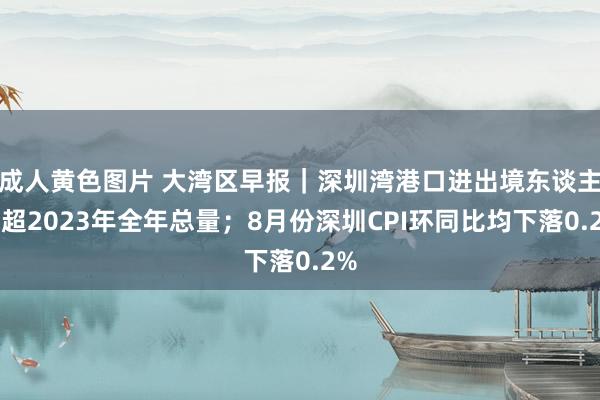 成人黄色图片 大湾区早报｜深圳湾港口进出境东谈主员超2023年全年总量；8月份深圳CPI环同比均下落0.2%