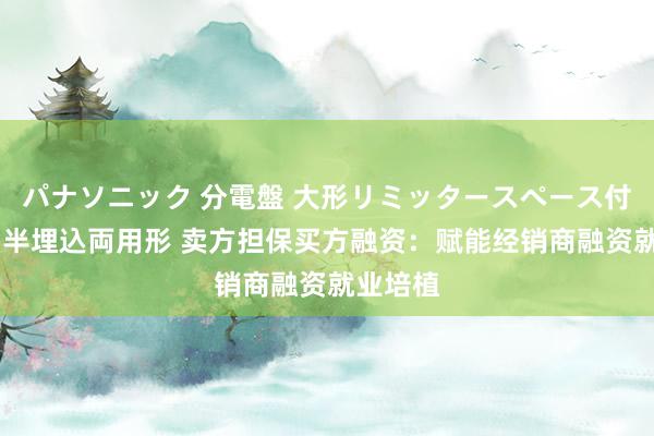 パナソニック 分電盤 大形リミッタースペース付 露出・半埋込両用形 卖方担保买方融资：赋能经销商融资就业培植