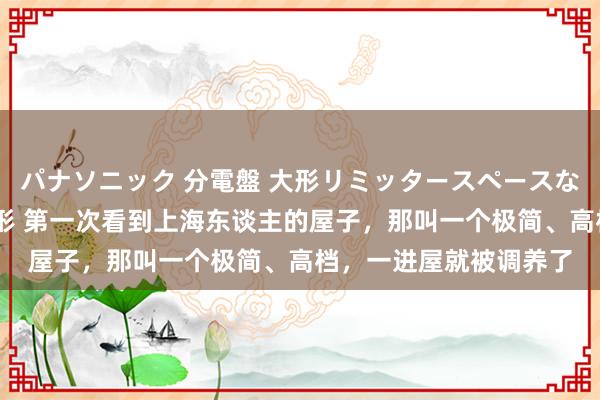 パナソニック 分電盤 大形リミッタースペースなし 露出・半埋込両用形 第一次看到上海东谈主的屋子，那叫一个极简、高档，一进屋就被调养了