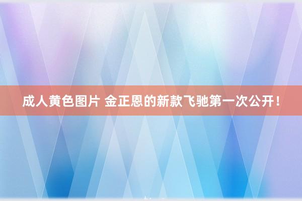 成人黄色图片 金正恩的新款飞驰第一次公开！