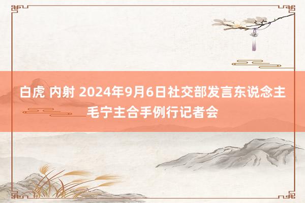 白虎 内射 2024年9月6日社交部发言东说念主毛宁主合手例行记者会