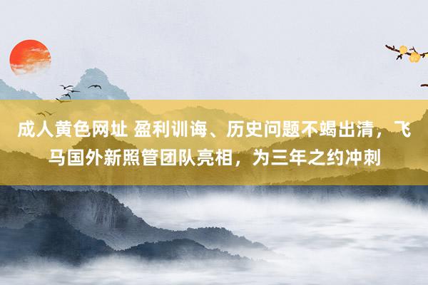 成人黄色网址 盈利训诲、历史问题不竭出清，飞马国外新照管团队亮相，为三年之约冲刺