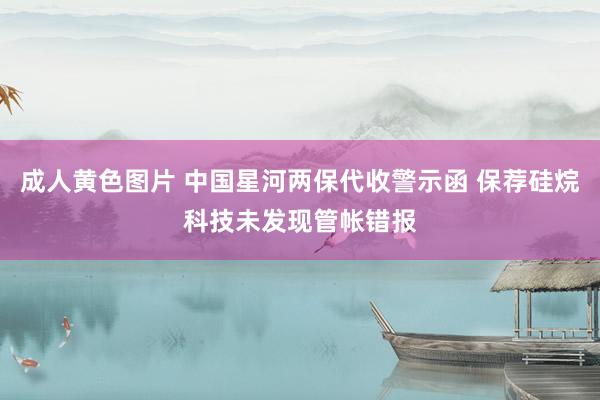 成人黄色图片 中国星河两保代收警示函 保荐硅烷科技未发现管帐错报