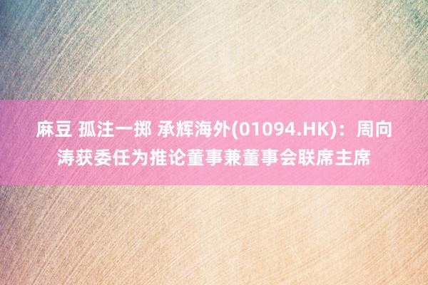 麻豆 孤注一掷 承辉海外(01094.HK)：周向涛获委任为推论董事兼董事会联席主席