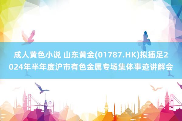 成人黄色小说 山东黄金(01787.HK)拟插足2024年半年度沪市有色金属专场集体事迹讲解会