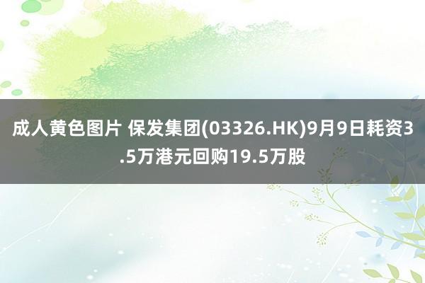 成人黄色图片 保发集团(03326.HK)9月9日耗资3.5万港元回购19.5万股