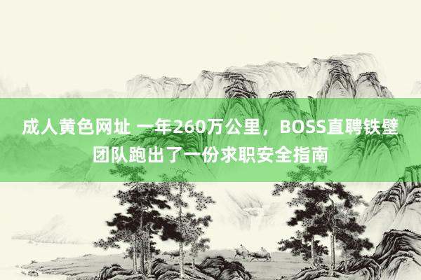 成人黄色网址 一年260万公里，BOSS直聘铁壁团队跑出了一份求职安全指南