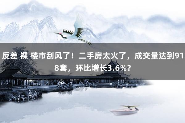 反差 裸 楼市刮风了！二手房太火了，成交量达到918套，环比增长3.6%？