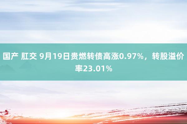 国产 肛交 9月19日贵燃转债高涨0.97%，转股溢价率23.01%