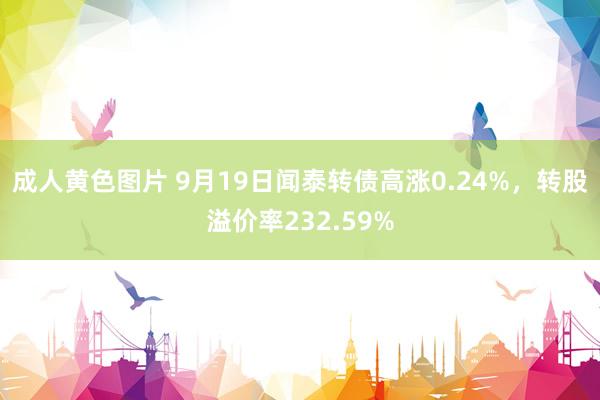 成人黄色图片 9月19日闻泰转债高涨0.24%，转股溢价率232.59%