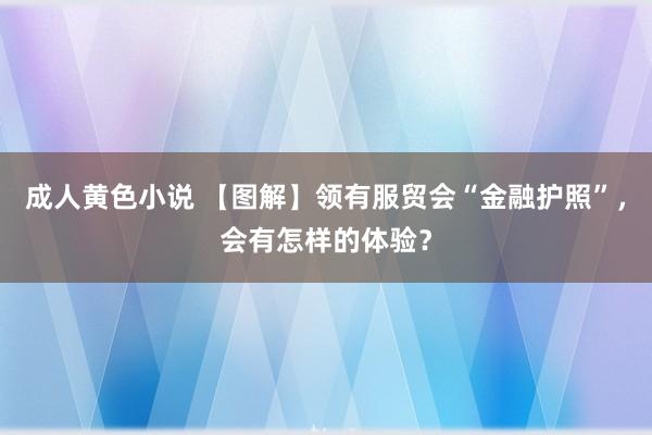 成人黄色小说 【图解】领有服贸会“金融护照”，会有怎样的体验？