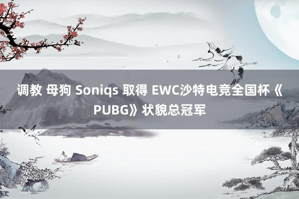 调教 母狗 Soniqs 取得 EWC沙特电竞全国杯《PUBG》状貌总冠军