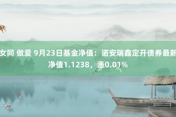 女同 做爱 9月23日基金净值：诺安瑞鑫定开债券最新净值1.1238，涨0.01%