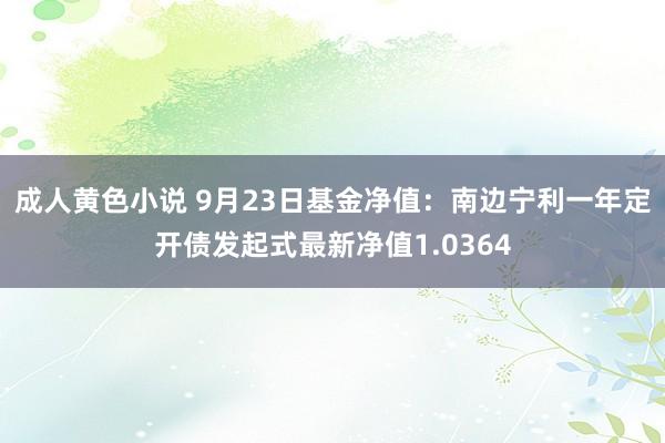 成人黄色小说 9月23日基金净值：南边宁利一年定开债发起式最新净值1.0364