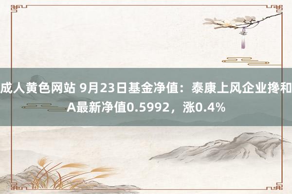 成人黄色网站 9月23日基金净值：泰康上风企业搀和A最新净值0.5992，涨0.4%