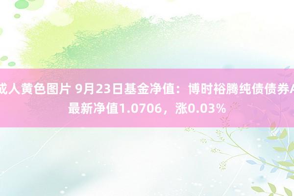 成人黄色图片 9月23日基金净值：博时裕腾纯债债券A最新净值1.0706，涨0.03%