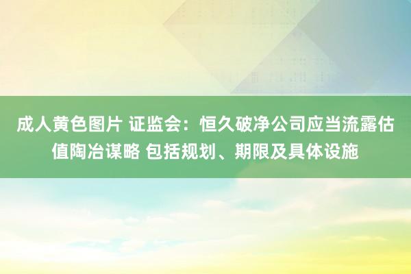 成人黄色图片 证监会：恒久破净公司应当流露估值陶冶谋略 包括规划、期限及具体设施