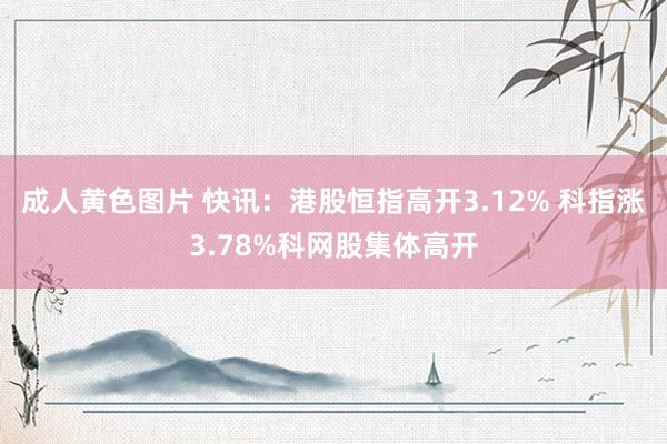 成人黄色图片 快讯：港股恒指高开3.12% 科指涨3.78%科网股集体高开