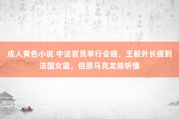 成人黄色小说 中法官员举行会晤，王毅外长提到法国女篮，但愿马克龙能听懂