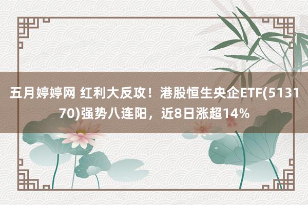 五月婷婷网 红利大反攻！港股恒生央企ETF(513170)强势八连阳，近8日涨超14%