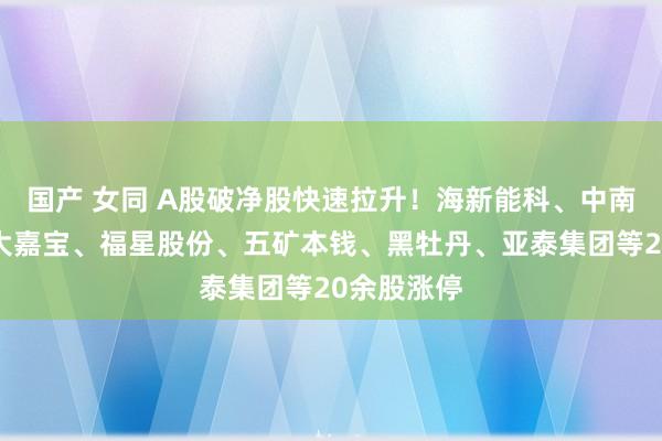 国产 女同 A股破净股快速拉升！海新能科、中南股份、光大嘉宝、福星股份、五矿本钱、黑牡丹、亚泰集团等20余股涨停