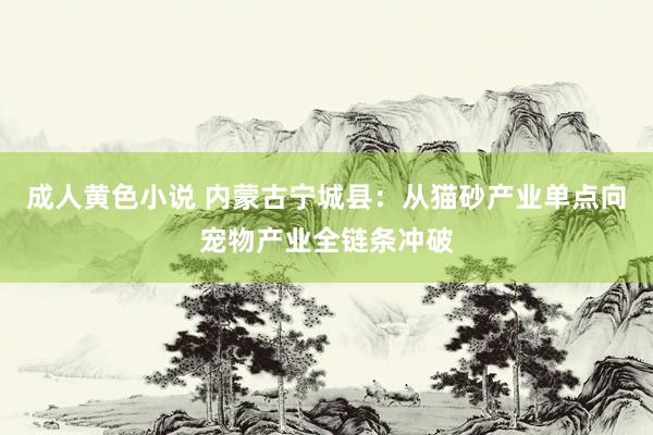 成人黄色小说 内蒙古宁城县：从猫砂产业单点向宠物产业全链条冲破