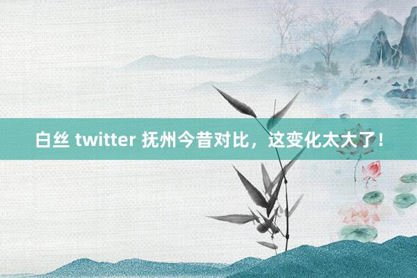 白丝 twitter 抚州今昔对比，这变化太大了！