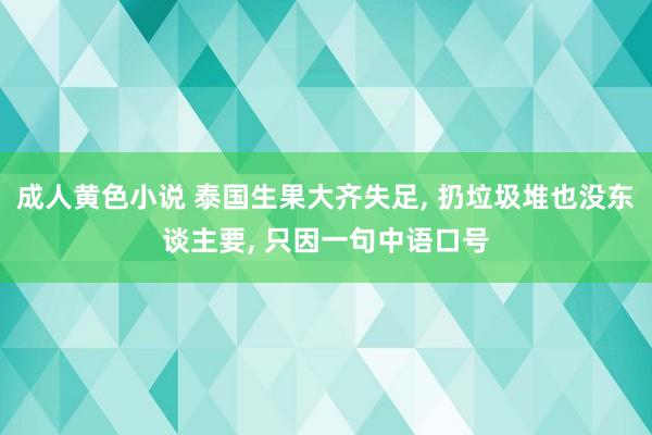 成人黄色小说 泰国生果大齐失足， 扔垃圾堆也没东谈主要， 只因一句中语口号