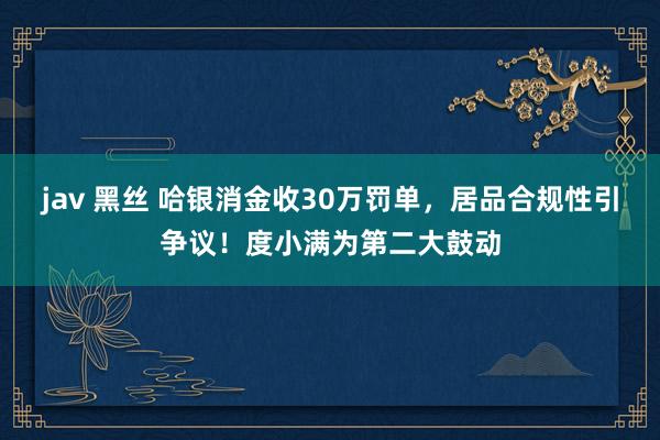 jav 黑丝 哈银消金收30万罚单，居品合规性引争议！度小满为第二大鼓动