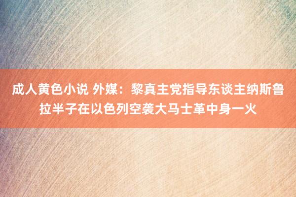 成人黄色小说 外媒：黎真主党指导东谈主纳斯鲁拉半子在以色列空袭大马士革中身一火