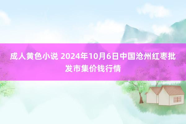 成人黄色小说 2024年10月6日中国沧州红枣批发市集价钱行情