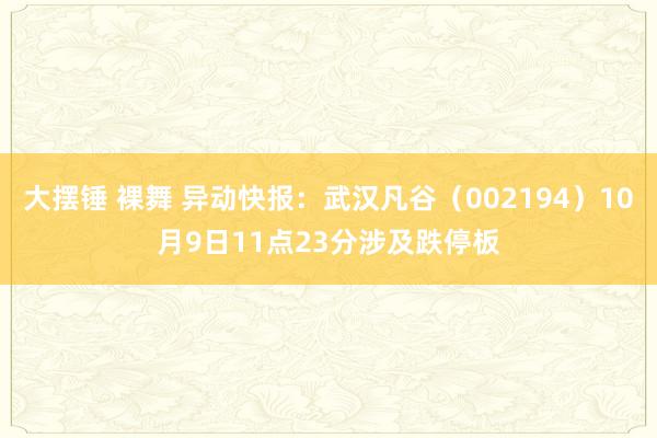 大摆锤 裸舞 异动快报：武汉凡谷（002194）10月9日11点23分涉及跌停板