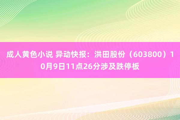 成人黄色小说 异动快报：洪田股份（603800）10月9日11点26分涉及跌停板