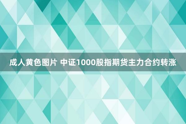 成人黄色图片 中证1000股指期货主力合约转涨