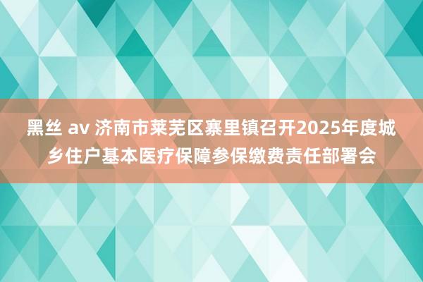 黑丝 av 济南市莱芜区寨里镇召开2025年度城乡住户基本医疗保障参保缴费责任部署会