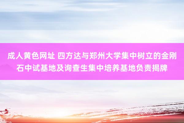 成人黄色网址 四方达与郑州大学集中树立的金刚石中试基地及询查生集中培养基地负责揭牌