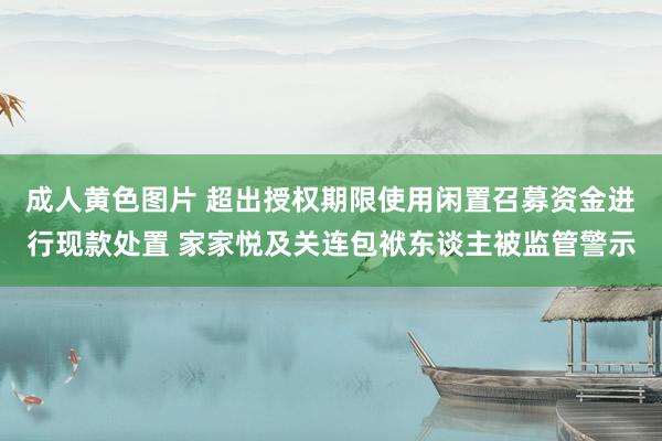 成人黄色图片 超出授权期限使用闲置召募资金进行现款处置 家家悦及关连包袱东谈主被监管警示