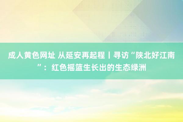 成人黄色网址 从延安再起程丨寻访“陕北好江南”：红色摇篮生长出的生态绿洲