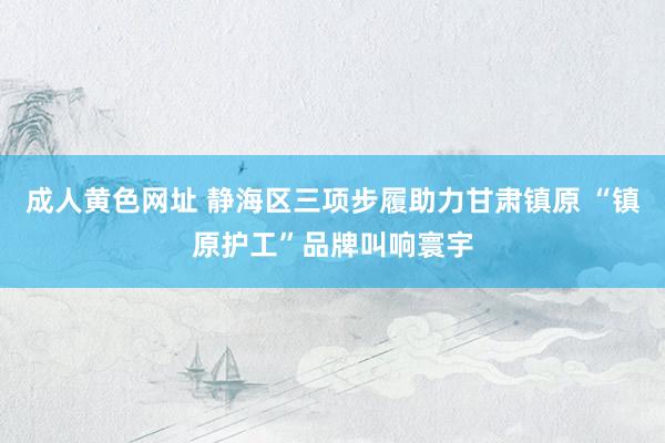 成人黄色网址 静海区三项步履助力甘肃镇原 “镇原护工”品牌叫响寰宇