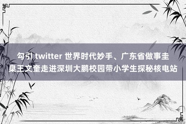 勾引 twitter 世界时代妙手、广东省做事圭臬王文奎走进深圳大鹏校园带小学生探秘核电站