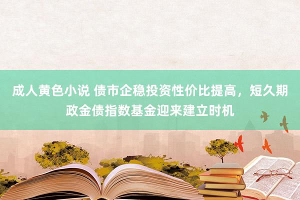 成人黄色小说 债市企稳投资性价比提高，短久期政金债指数基金迎来建立时机