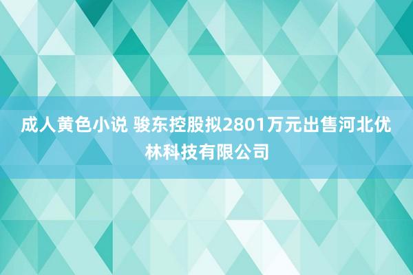 成人黄色小说 骏东控股拟2801万元出售河北优林科技有限公司