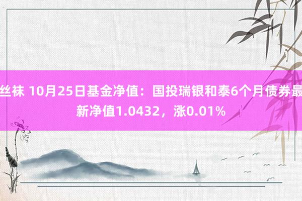 丝袜 10月25日基金净值：国投瑞银和泰6个月债券最新净值1.0432，涨0.01%